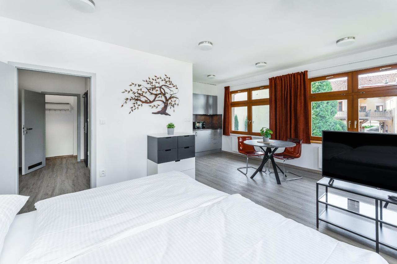 Apartman V Podebradech Poděbrady المظهر الخارجي الصورة