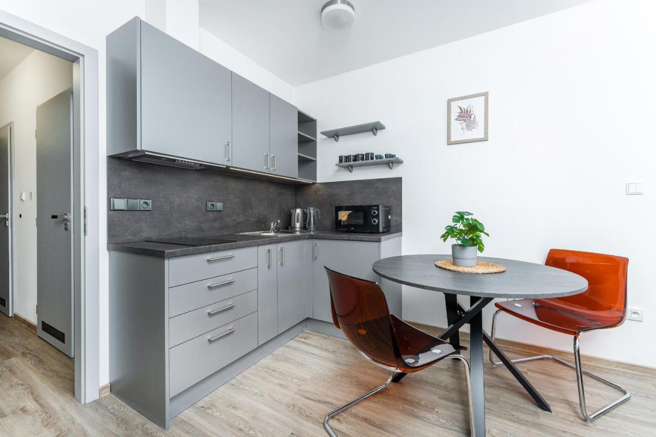 Apartman V Podebradech Poděbrady المظهر الخارجي الصورة
