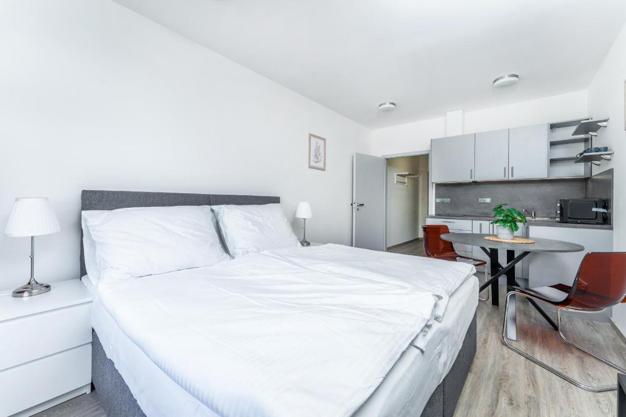 Apartman V Podebradech Poděbrady المظهر الخارجي الصورة