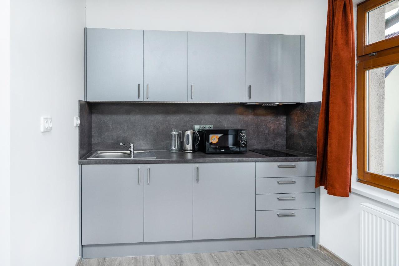 Apartman V Podebradech Poděbrady المظهر الخارجي الصورة