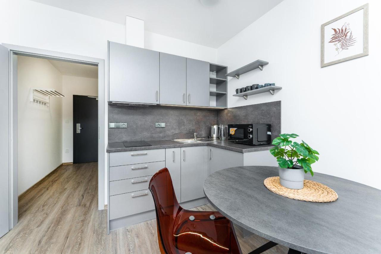 Apartman V Podebradech Poděbrady المظهر الخارجي الصورة