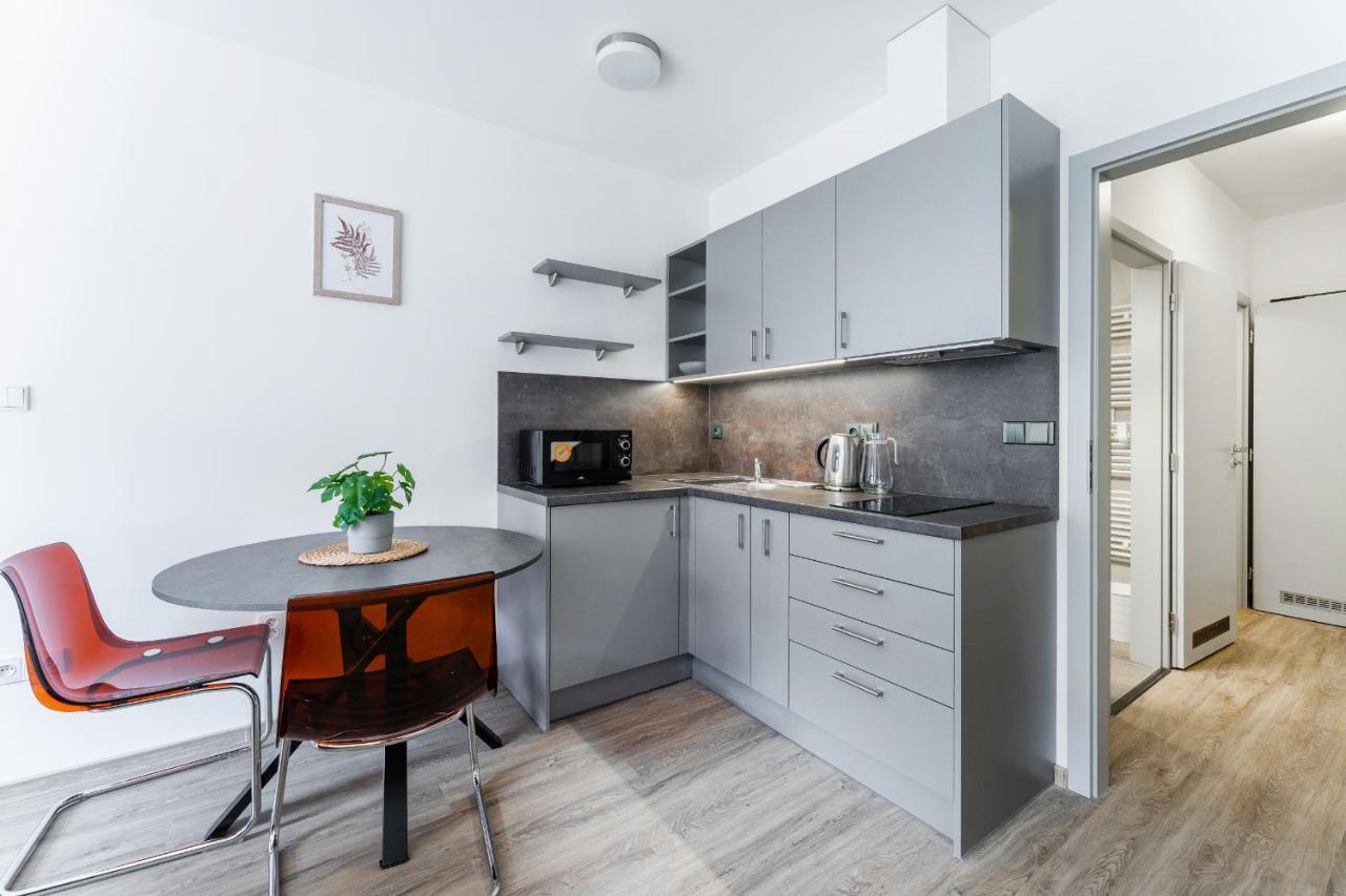 Apartman V Podebradech Poděbrady المظهر الخارجي الصورة