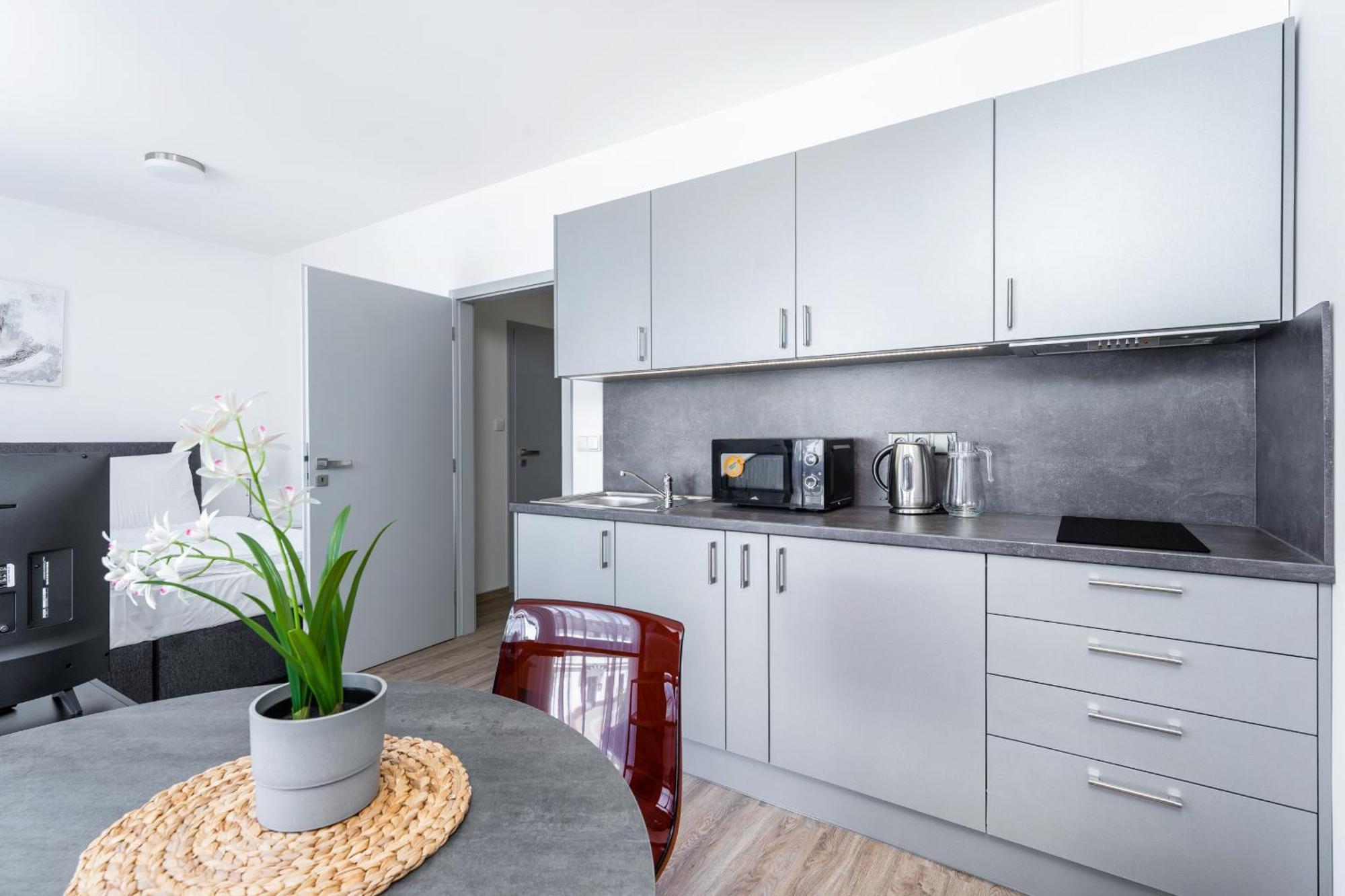Apartman V Podebradech Poděbrady المظهر الخارجي الصورة