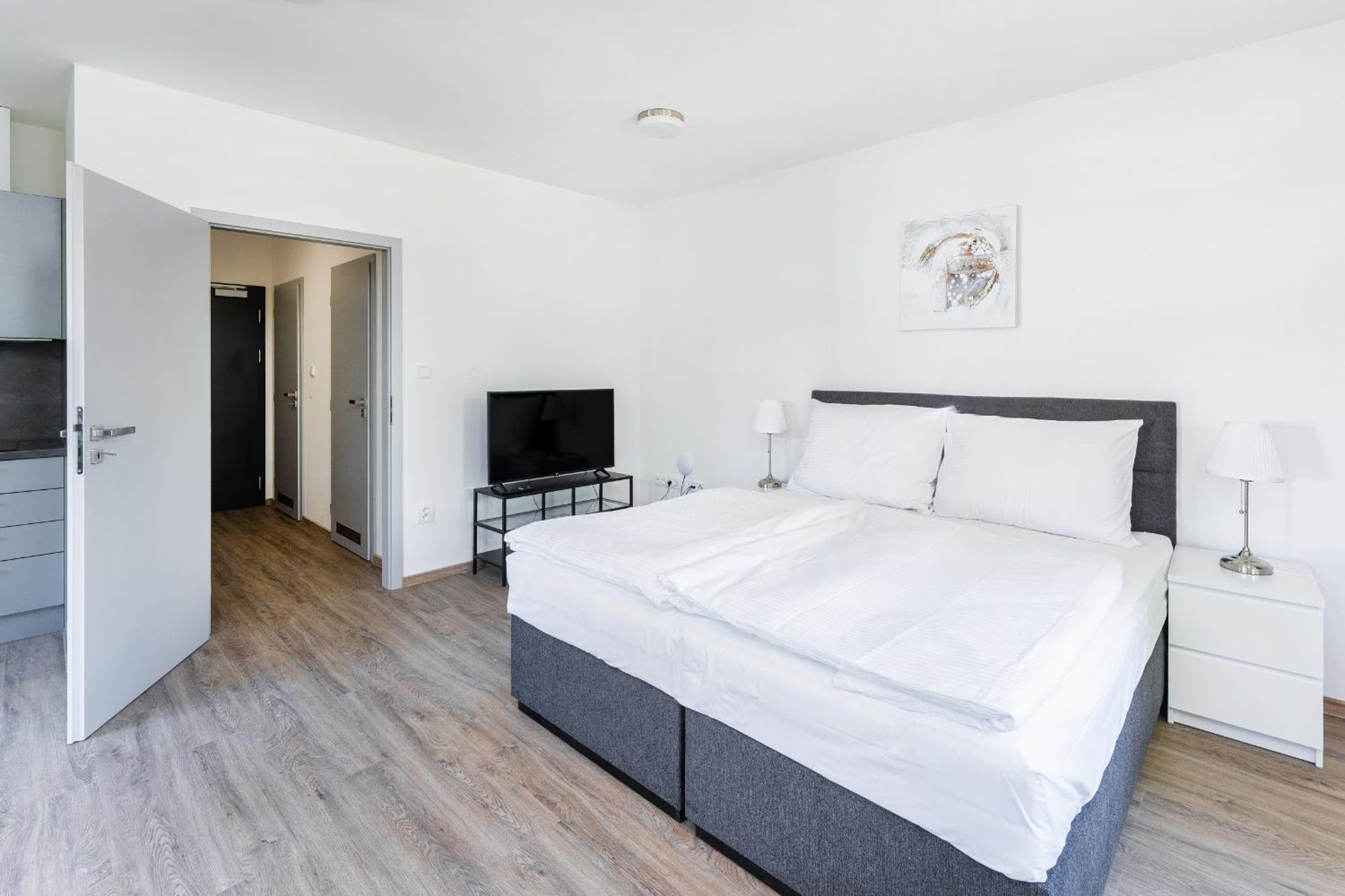 Apartman V Podebradech Poděbrady المظهر الخارجي الصورة